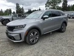 KNDRHDLG3P5204756 2023 KIA SORENTO