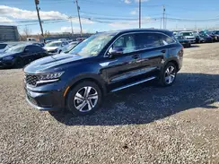 KNDRHDLG3R5236478 2024 KIA SORENTO