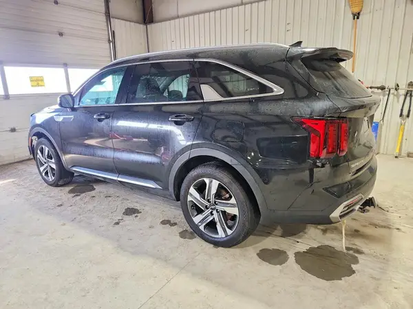 KNDRHDLG4P5139352 2023 KIA SORENTO - Image 2
