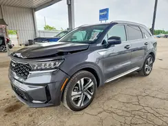 KNDRHDLG4R5248154 2024 KIA SORENTO