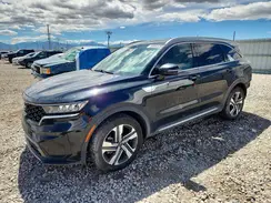 KNDRHDLG4R5259641 2024 KIA SORENTO