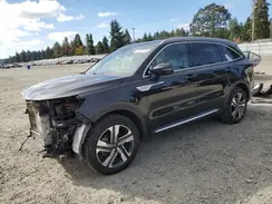KNDRHDLG5P5183666 2023 KIA SORENTO
