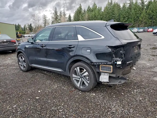KNDRHDLG5R5248907 2024 KIA SORENTO - Image 2