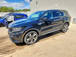 KNDRHDLG6P5210700 2023 KIA SORENTO