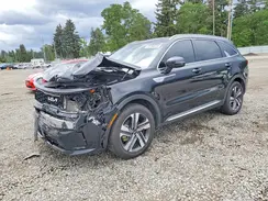 KNDRHDLG7P5141810 2023 KIA SORENTO