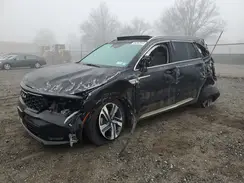 KNDRHDLG7P5144416 2023 KIA SORENTO