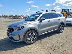 KNDRHDLG7P5160681 2023 KIA SORENTO