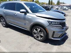 KNDRHDLG7P5173642 2023 KIA SORENTO