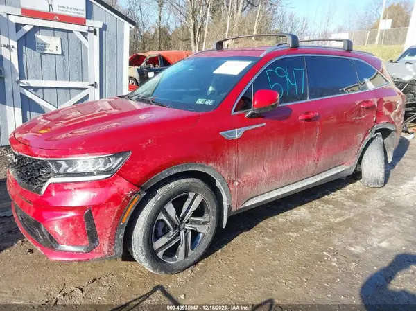 KNDRHDLG7P5176301 2023 KIA SORENTO - Image 2