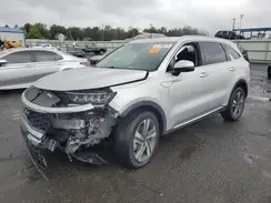 KNDRHDLG7P5221527 2023 KIA SORENTO