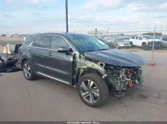 KNDRHDLG7R5259276 2024 KIA SORENTO