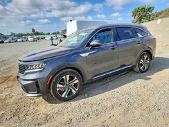 KNDRHDLG8P5161399 2023 KIA SORENTO