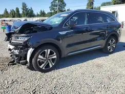 KNDRHDLG8P5187887 2023 KIA SORENTO