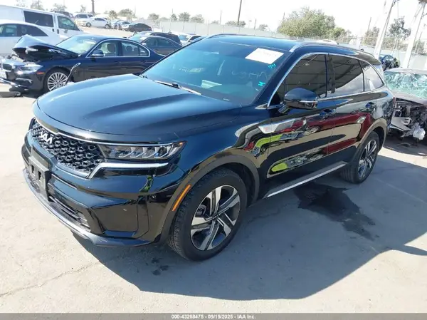 KNDRHDLG8P5202484 2023 KIA SORENTO - Image 2