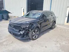 KNDRHDLG8P5213338 2023 KIA SORENTO