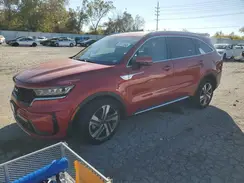 KNDRHDLGXP5206844 2023 KIA SORENTO