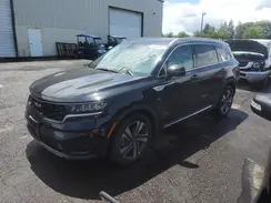 KNDRHDLGXR5235375 2024 KIA SORENTO