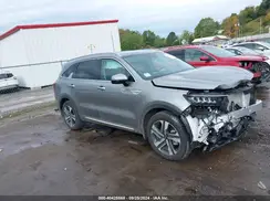 KNDRHDLGXR5249132 2024 KIA SORENTO