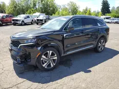 KNDRKDLG0P5181146 2023 KIA SORENTO