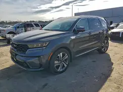KNDRKDLG0P5227543 2023 KIA SORENTO