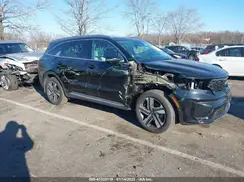 KNDRKDLG1P5154070 2023 KIA SORENTO