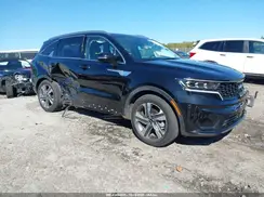 KNDRKDLG1P5193967 2023 KIA SORENTO