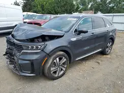 KNDRKDLG1P5208225 2023 KIA SORENTO
