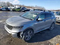 KNDRKDLG1P5227132 2023 KIA SORENTO