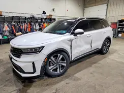 KNDRKDLG2P5152411 2023 KIA SORENTO