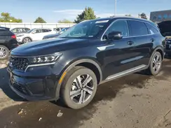 KNDRKDLG3P5219209 2023 KIA SORENTO