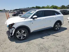 KNDRKDLG4P5181599 2023 KIA SORENTO