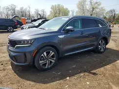 KNDRKDLG4P5184891 2023 KIA SORENTO