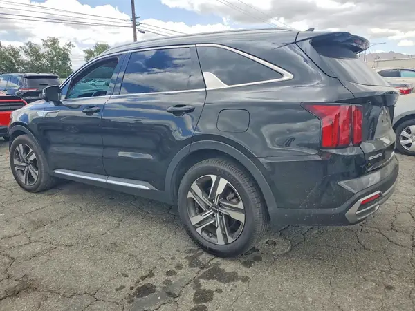 KNDRKDLG4P5188889 2023 KIA SORENTO - Image 2