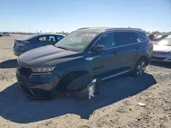 KNDRKDLG4P5189265 2023 KIA SORENTO