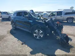 KNDRKDLG4R5235034 2024 KIA SORENTO