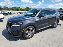KNDRKDLG4R5258989 2024 KIA SORENTO