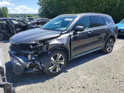 KNDRKDLG5R5235253 2024 KIA SORENTO