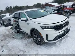 KNDRKDLG5R5246902 2024 KIA SORENTO