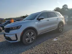 KNDRKDLG5R5247113 2024 KIA SORENTO