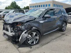 KNDRKDLG8R5248790 2024 KIA SORENTO