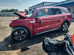 KNDRKDLG9P5150803 2023 KIA SORENTO