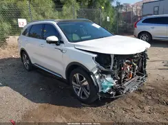 KNDRMDLG0P5130594 2023 KIA SORENTO