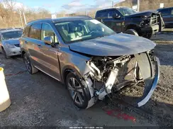 KNDRMDLG2P5144383 2023 KIA SORENTO