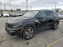 KNDRMDLG3P5149429 2023 KIA SORENTO