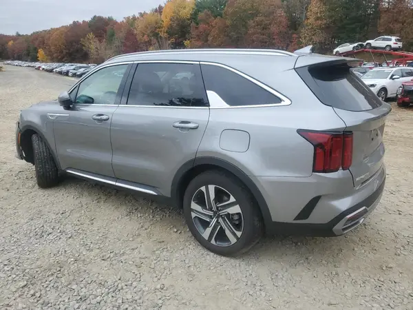KNDRMDLG5P5150811 2023 KIA SORENTO - Image 2