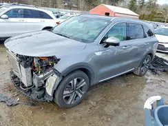 KNDRMDLG6P5138344 2023 KIA SORENTO