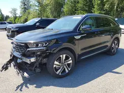 KNDRMDLG7P5136408 2023 KIA SORENTO