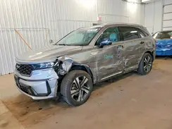 KNDRMDLG7P5139924 2023 KIA SORENTO