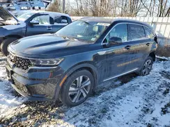 KNDRMDLH1P5169316 2023 KIA SORENTO