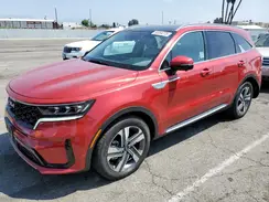 KNDRMDLH2P5158776 2023 KIA SORENTO